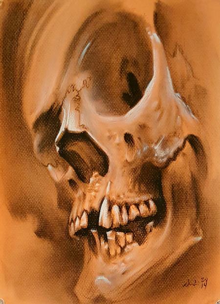 Audi - Orange skull